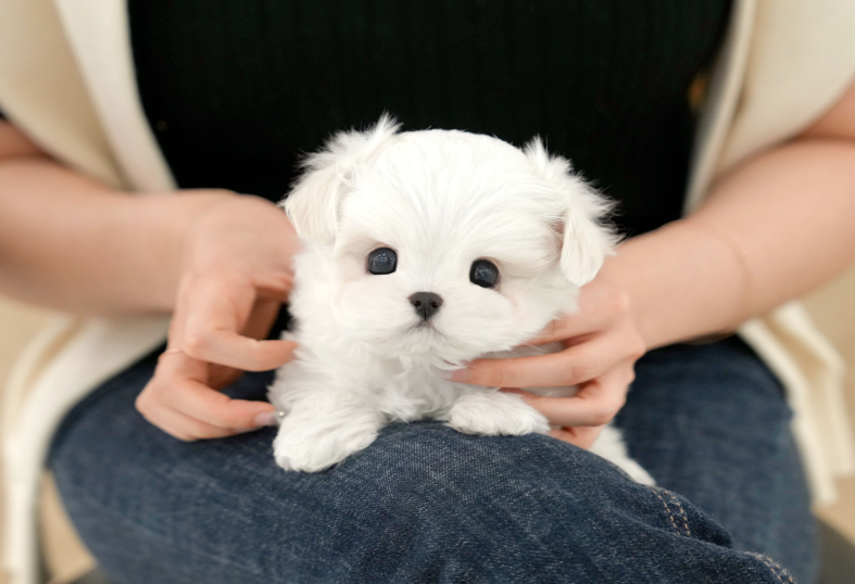 KakaoTalk_20260902_165032753.png