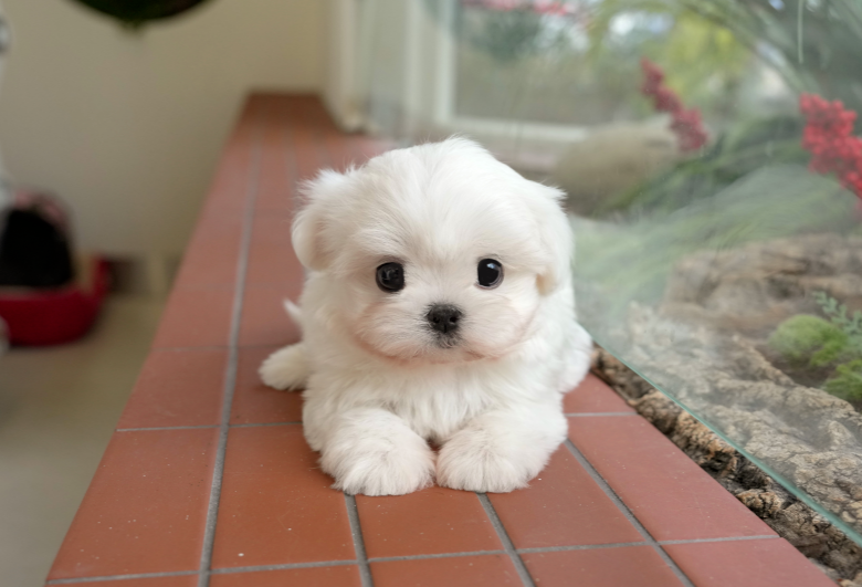KakaoTalk_20260906_150857852.png