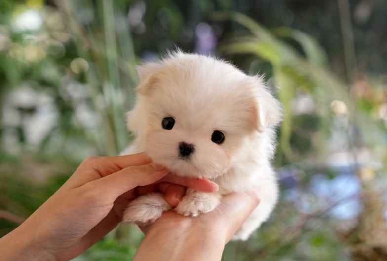 KakaoTalk_20260906_143824710.png