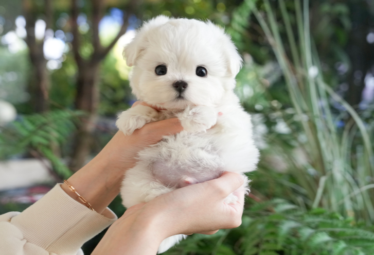 KakaoTalk_20260913_143940009.png