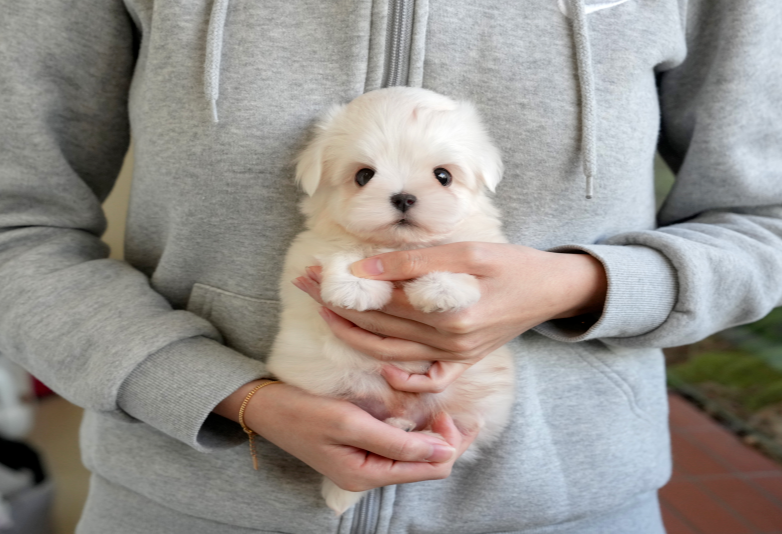 KakaoTalk_20260916_151447820.png